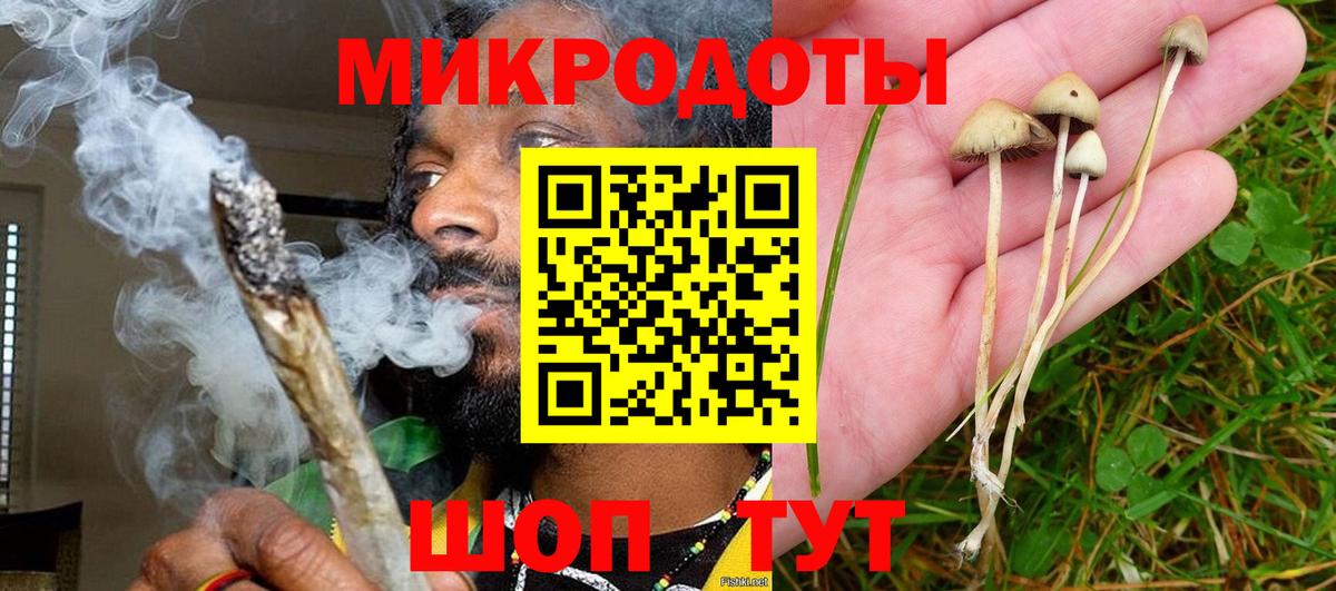 Псилоцибиновые грибы GOLDEN TEACHER  Вход с VPN  Горячий Ключ 